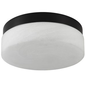 Modern black flush mount ceiling light with frosted glass shade